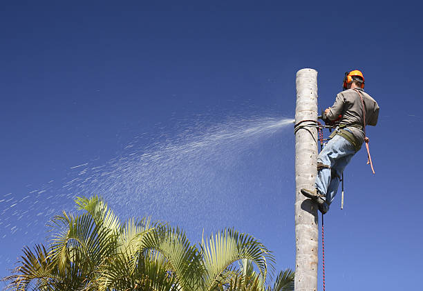 Best Soil Testing and Treatment  in Oakridge, OR
